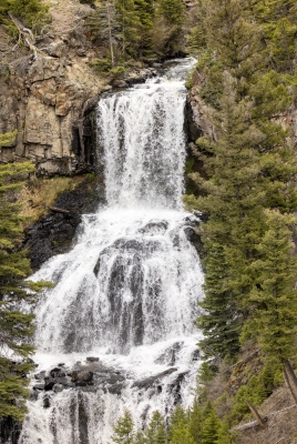 Undine Falls YNP May 2025